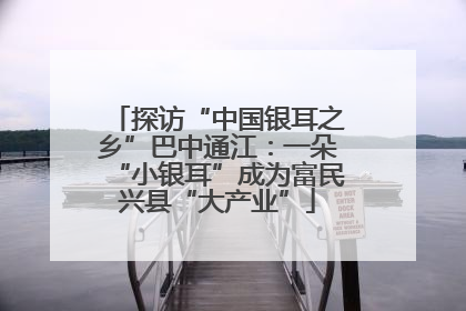 探访“中国银耳之乡”巴中通江：一朵“小银耳”成为富民兴县“大产业”