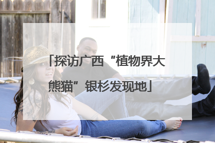 探访广西“植物界大熊猫”银杉发现地