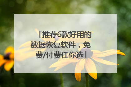 推荐6款好用的数据恢复软件，免费/付费任你选