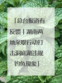 总台报道有反馈丨湖南两地采取行动打击洞庭湖违规钓鱼现象