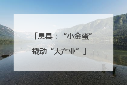 息县：“小金蛋”撬动“大产业”