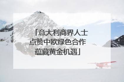 意大利商界人士点赞中欧绿色合作蕴藏黄金机遇