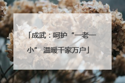 成武：呵护“一老一小” 温暖千家万户
