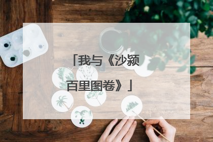 我与《沙颍百里图卷》