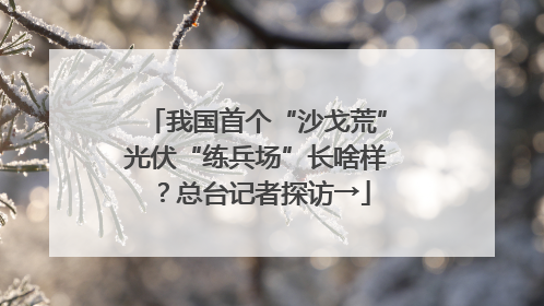 我国首个“沙戈荒”光伏“练兵场”长啥样？总台记者探访→