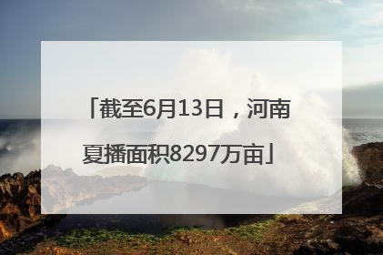 截至6月13日，河南夏播面积8297万亩