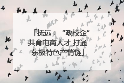 抚远：“政校企”共育电商人才 打通东极特色产销链