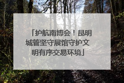 护航南博会！昆明城管坚守展馆守护文明有序交易环境