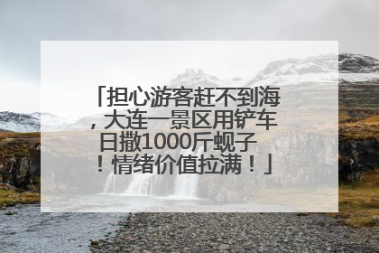担心游客赶不到海，大连一景区用铲车日撒1000斤蚬子！情绪价值拉满！