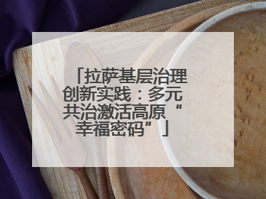 拉萨基层治理创新实践：多元共治激活高原“幸福密码”