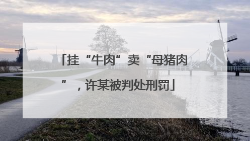 挂“牛肉”卖“母猪肉”，许某被判处刑罚