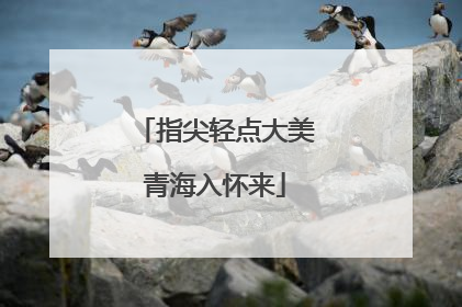 指尖轻点大美青海入怀来