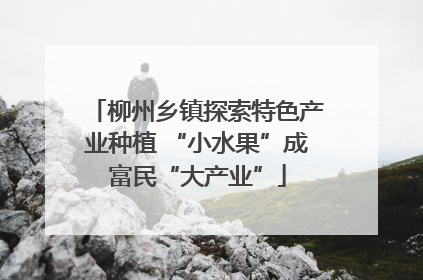 柳州乡镇探索特色产业种植 “小水果”成富民“大产业”