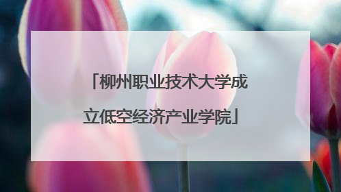 柳州职业技术大学成立低空经济产业学院