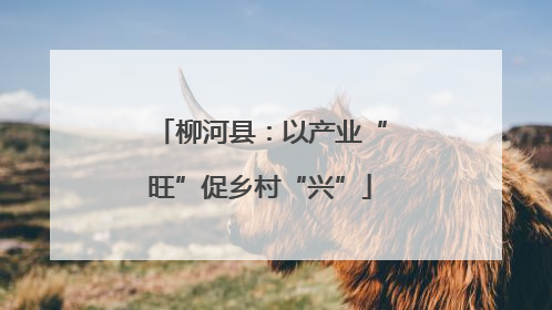 柳河县：以产业“旺”促乡村“兴”