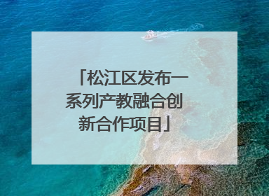 松江区发布一系列产教融合创新合作项目