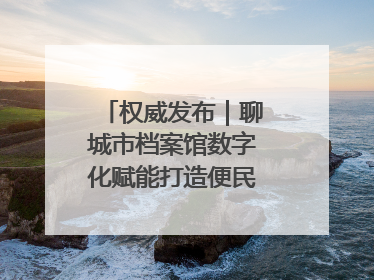 权威发布｜聊城市档案馆数字化赋能打造便民服务新模式
