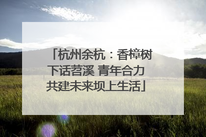 杭州余杭：香樟树下话苕溪 青年合力共建未来坝上生活