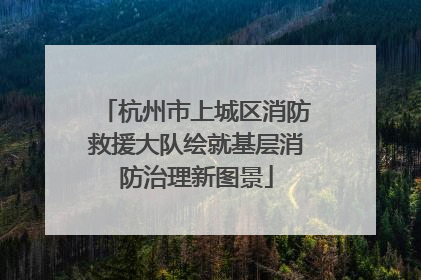 杭州市上城区消防救援大队绘就基层消防治理新图景