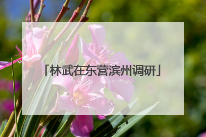 林武在东营滨州调研
