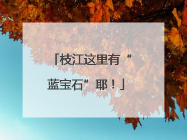 枝江这里有“蓝宝石”耶！