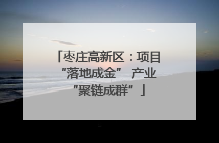 枣庄高新区：项目“落地成金” 产业“聚链成群”