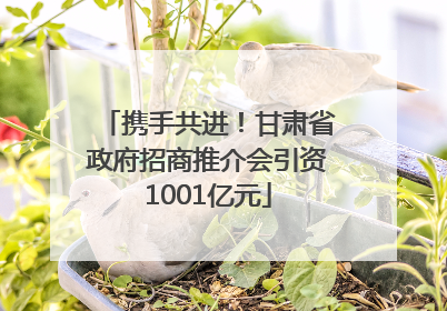 携手共进！甘肃省政府招商推介会引资1001亿元