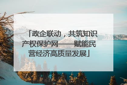 政企联动，共筑知识产权保护网——赋能民营经济高质量发展