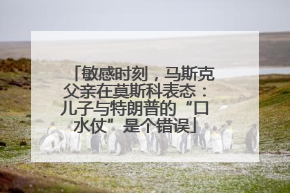 敏感时刻，马斯克父亲在莫斯科表态：儿子与特朗普的“口水仗”是个错误