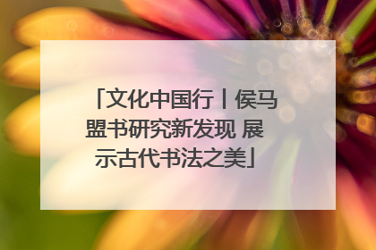 文化中国行丨侯马盟书研究新发现 展示古代书法之美