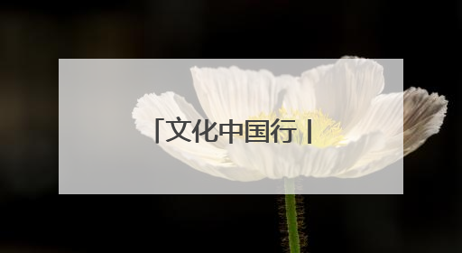 文化中国行丨山东巨野：工笔画绽放致富花