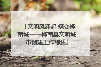 文明风涌起 蝶变桦南城——桦南县文明城市创建工作综述