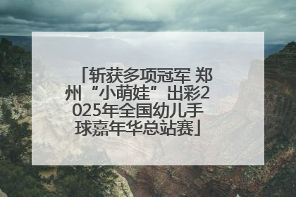 斩获多项冠军 郑州“小萌娃”出彩2025年全国幼儿手球嘉年华总站赛