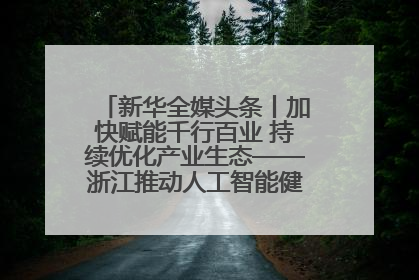 新华全媒头条丨加快赋能千行百业 持续优化产业生态——浙江推动人工智能健康有序发展观察