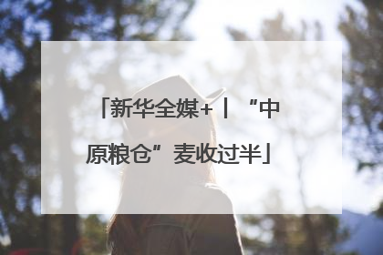 新华全媒+丨“中原粮仓”麦收过半