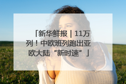 新华鲜报｜11万列！中欧班列跑出亚欧大陆“新时速”