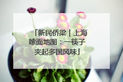 新民侨梁｜上海嗦面地图：一筷子夹起多国风味