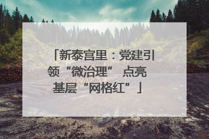 新泰宫里：党建引领“微治理” 点亮基层“网格红”