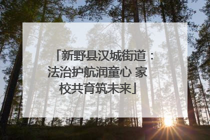 新野县汉城街道：法治护航润童心 家校共育筑未来