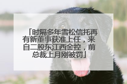 时隔多年雪松信托再有新董事获准上任，来自二股东江西金控，前总裁上月刚被罚