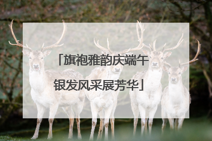 旗袍雅韵庆端午 银发风采展芳华