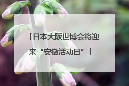 日本大阪世博会将迎来“安徽活动日”