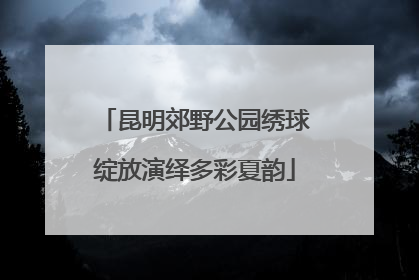 昆明郊野公园绣球绽放演绎多彩夏韵