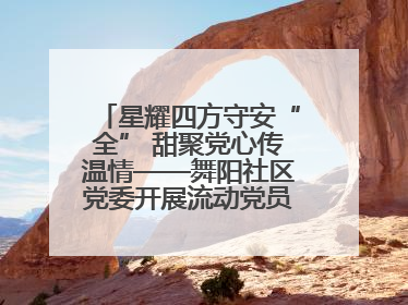 星耀四方守安“全” 甜聚党心传温情——舞阳社区党委开展流动党员建党节主题活动