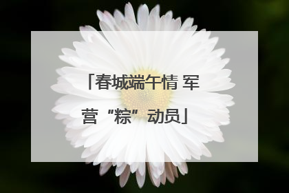 春城端午情 军营“粽”动员