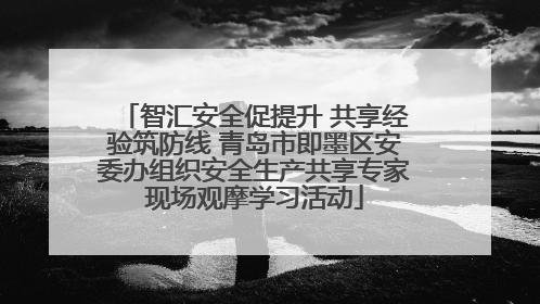 智汇安全促提升 共享经验筑防线 青岛市即墨区安委办组织安全生产共享专家现场观摩学习活动