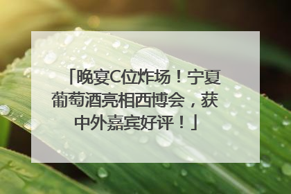 晚宴C位炸场！宁夏葡萄酒亮相西博会，获中外嘉宾好评！
