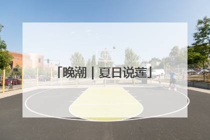 晚潮｜夏日说莲