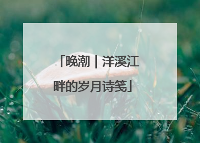 晚潮｜洋溪江畔的岁月诗笺