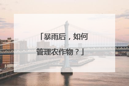 暴雨后，如何管理农作物？